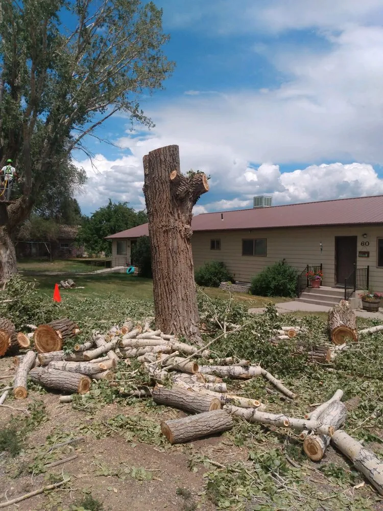 Reliable lawn care service for year-round maintenance in Monroe, UT by Z's Trees