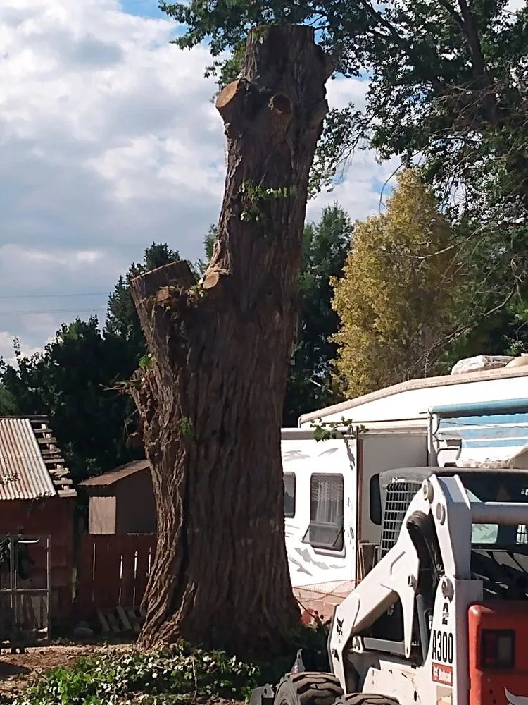 Custom garden landscaping for beautiful yards across Monroe, UT - Z's Trees