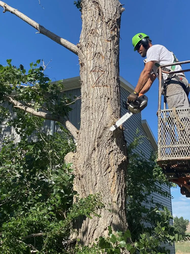 Top-rated residential landscaping with custom design across Monroe, UT - Z's Trees