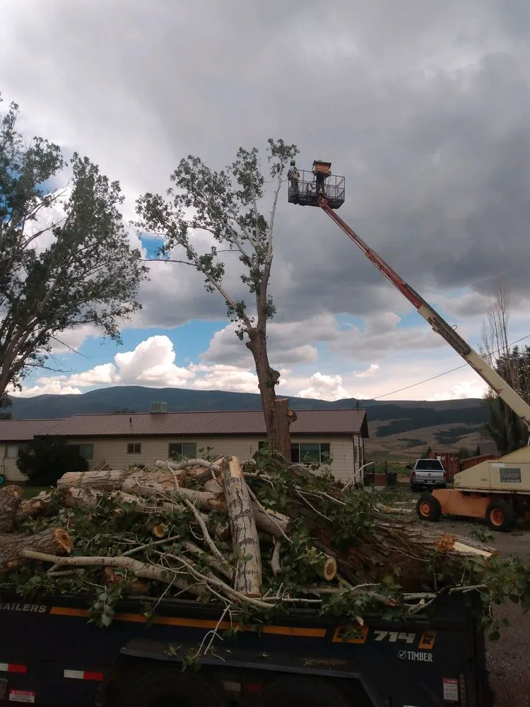 Professional landscape installation in Monroe, UT by Z's Trees