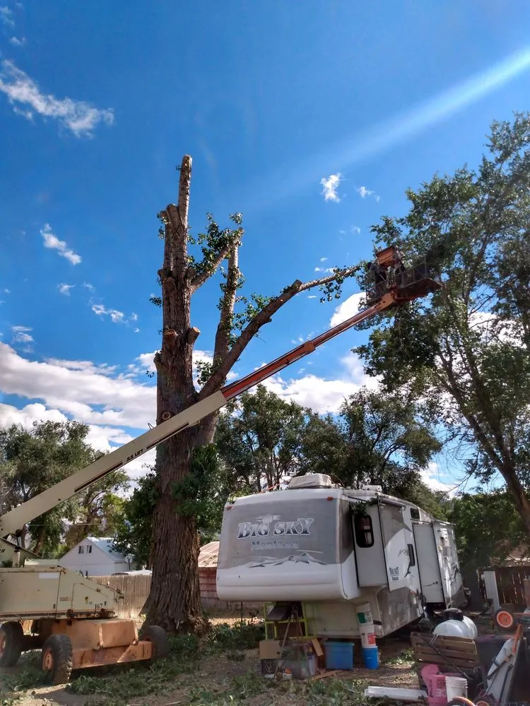 Custom residential landscaping experts serving Monroe, UT - Z's Trees