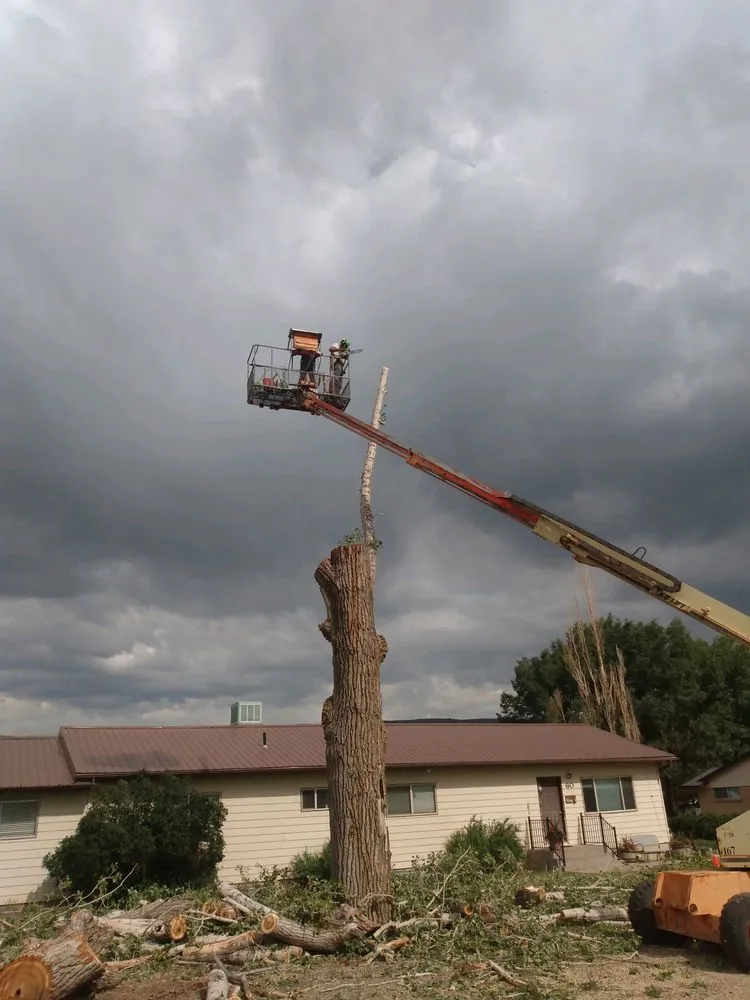 Custom residential landscaping in Monroe, UT by Z's Trees
