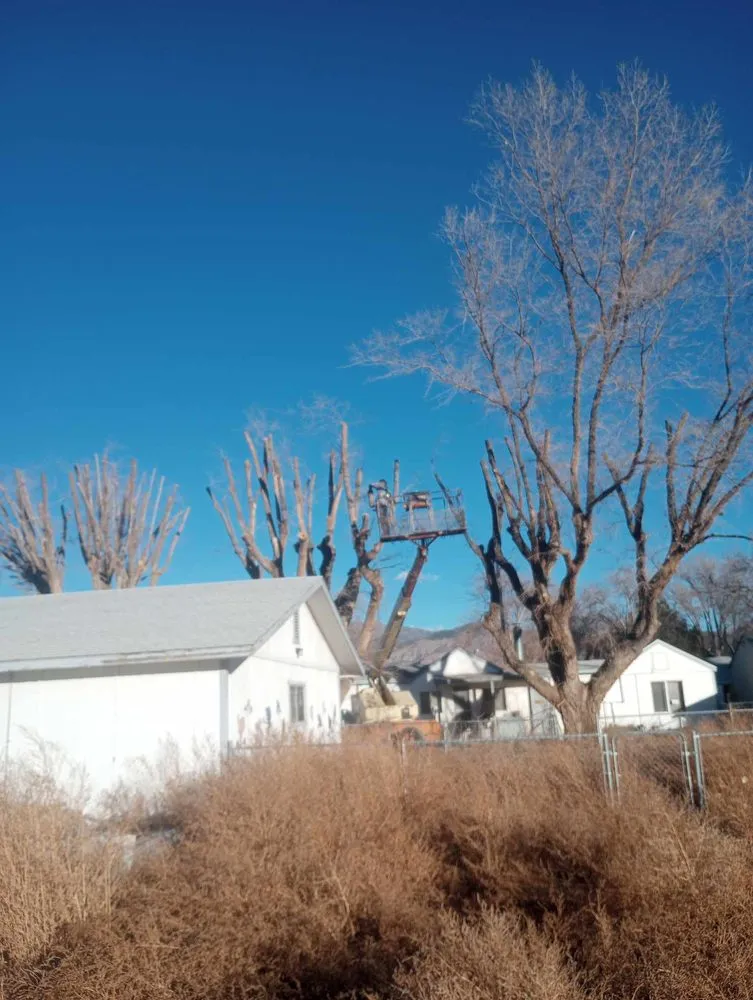 Top-rated landscape installation for beautiful yards in Monroe, UT by Z's Trees