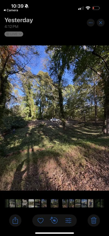 Expert landscape installation for residential properties in Holly Springs, GA by ZSB Lawn & landscape