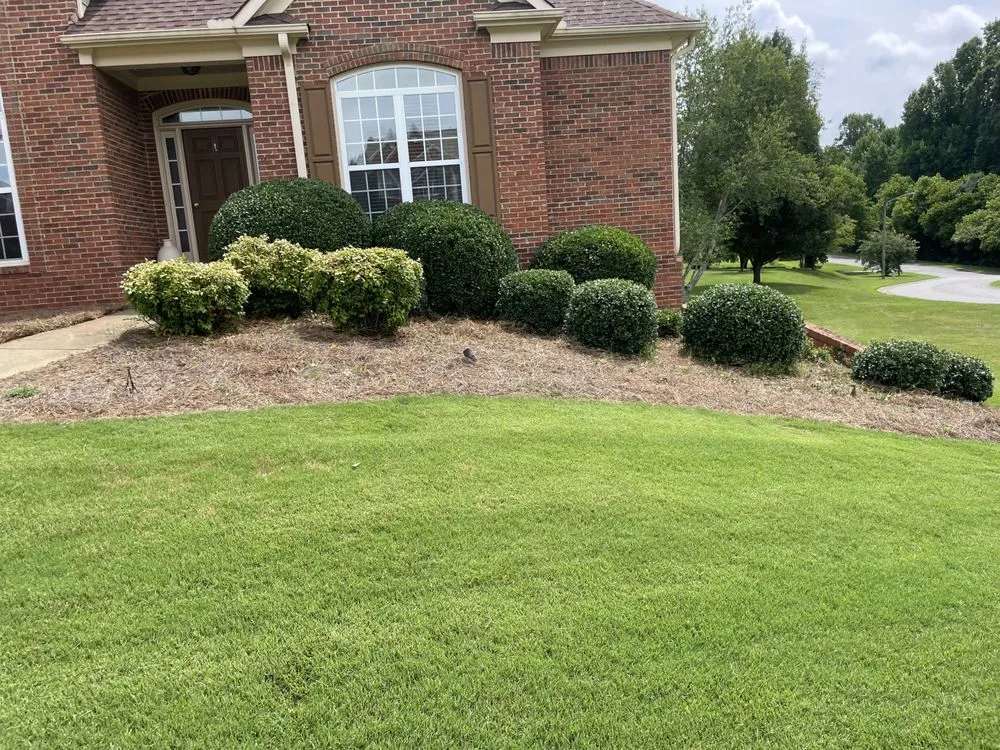 Professional landscape design with custom design in Holly Springs, GA by ZSB Lawn & landscape