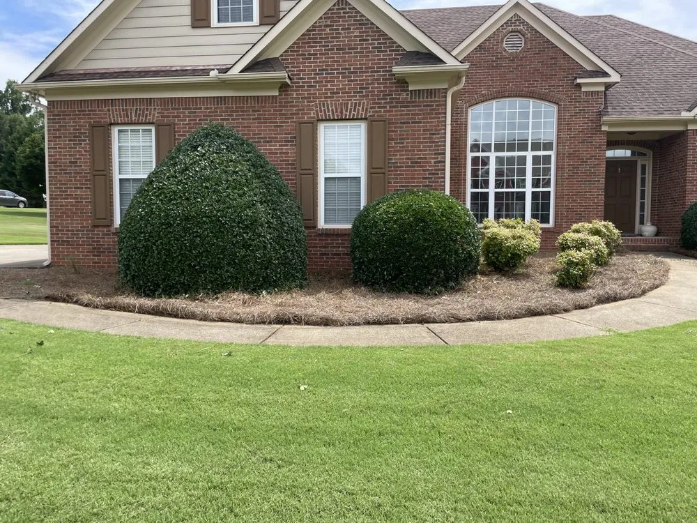 Top-rated yard maintenance experts serving Holly Springs, GA - ZSB Lawn & landscape