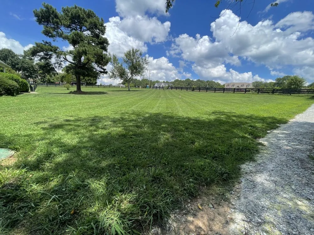 Reliable outdoor landscaping experts serving Holly Springs, GA - ZSB Lawn & landscape