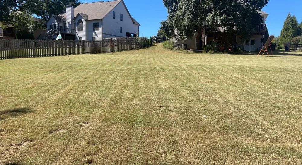 Custom garden landscaping experts serving Holly Springs, GA - ZSB Lawn & landscape