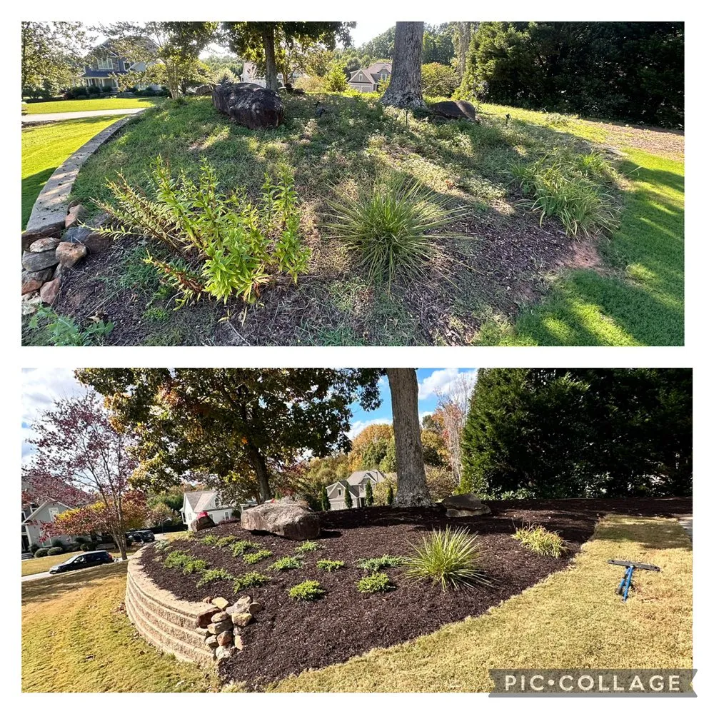 Professional lawn care service in Holly Springs, GA - ZSB Lawn & landscape