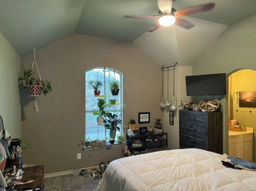 Affordable outdoor landscaping in Fort Worth, TX - ZTX Home Services