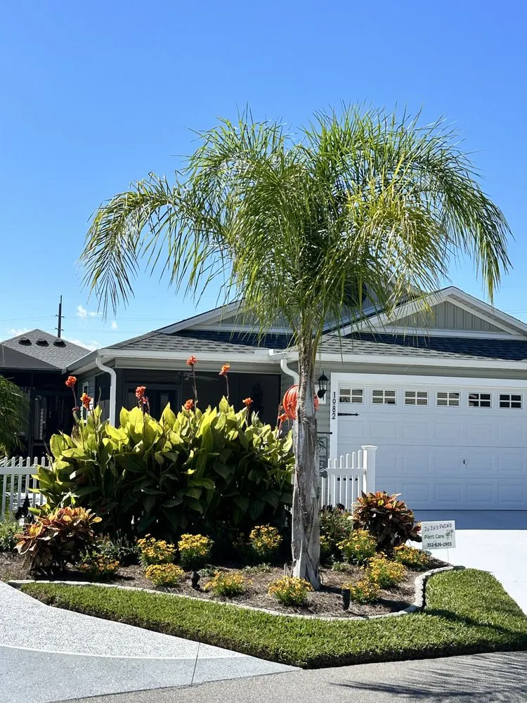 Affordable yard maintenance in The Villages, FL by Zu Zu's Petals Plant Care