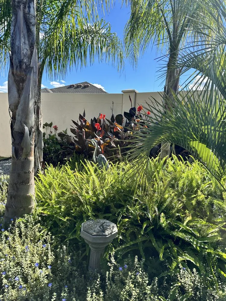 Custom landscaping services in The Villages, FL - Zu Zu's Petals Plant Care