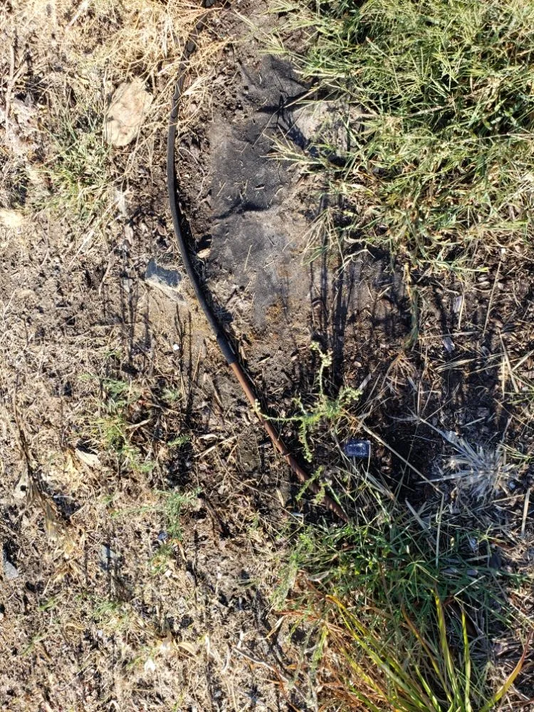 Top-rated lawn mowing service in Copperopolis, CA - Zukes Maint