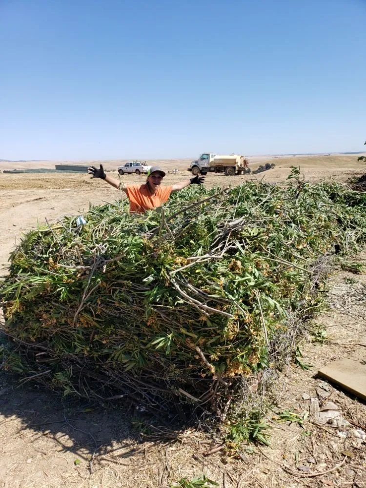 Custom residential landscaping experts serving Copperopolis, CA - Zukes Maint