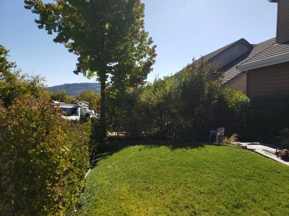 Trusted landscaping services in Copperopolis, CA - Zukes Maint