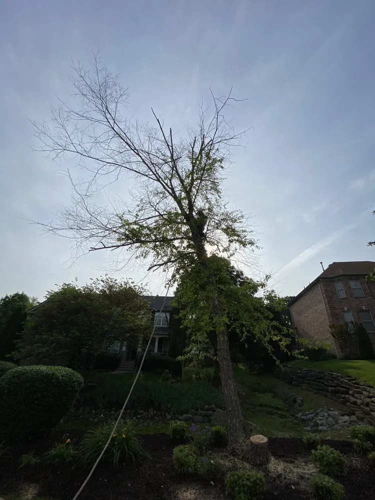 Expert landscape design in Nashville, TN by Zuleta Landscape