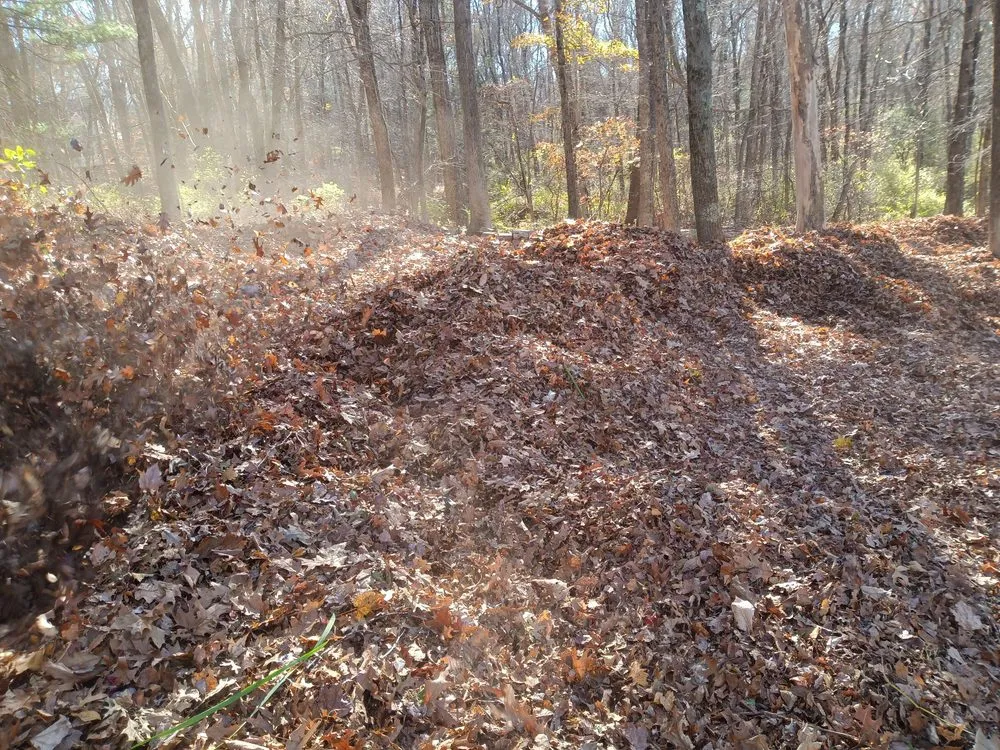 Expert residential landscaping in Rowley, MA - Zuleta Landscaping