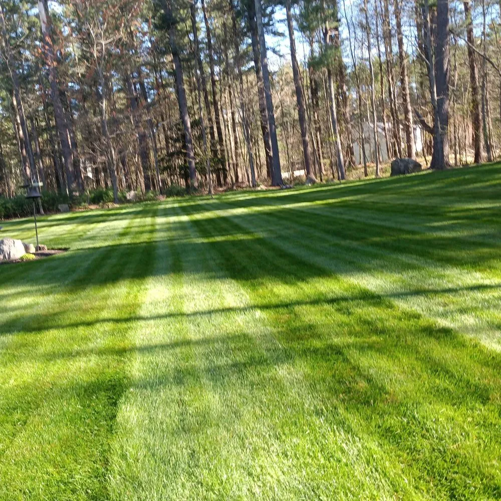 Expert lawn care service experts serving Rowley, MA - Zuleta Landscaping