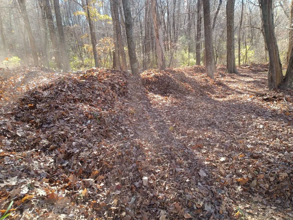 Local landscaping services for year-round maintenance in Rowley, MA by Zuleta Landscaping