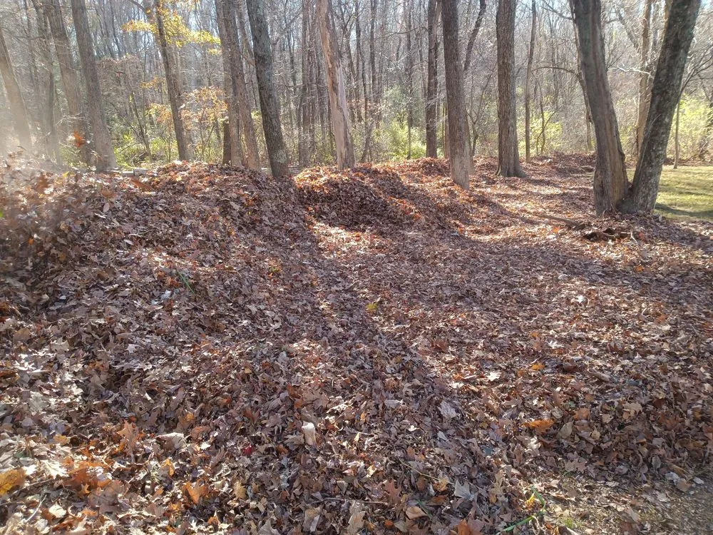 Custom landscaping services experts serving Rowley, MA - Zuleta Landscaping