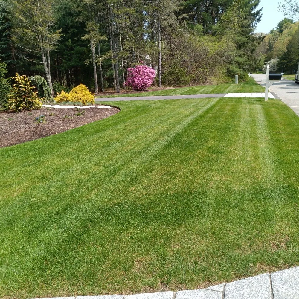 Top-rated yard maintenance in Rowley, MA - Zuleta Landscaping