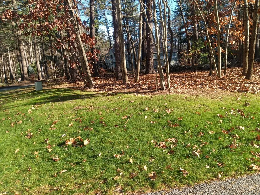 Trusted yard cleanup service in Rowley, MA - Zuleta Landscaping