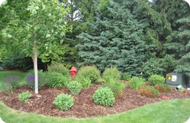 Expert outdoor landscaping for outdoor upgrades across Wanamingo, MN - Zumbro Valley Landscaping
