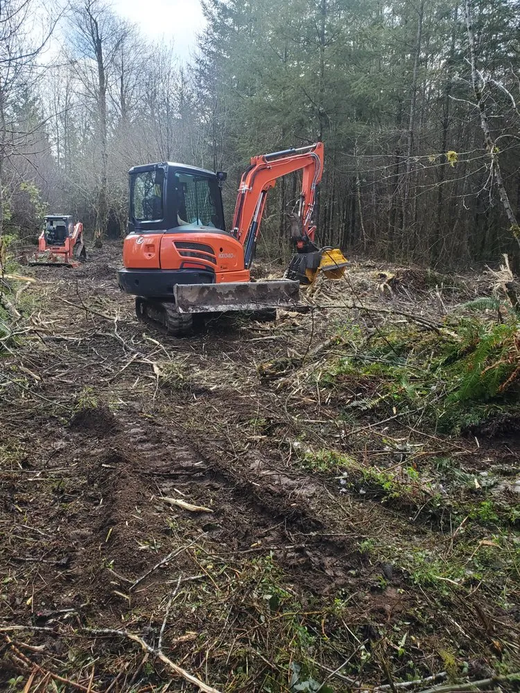 Top-rated lawn care service for outdoor upgrades in Woodland, WA by Zumstein Landscaping