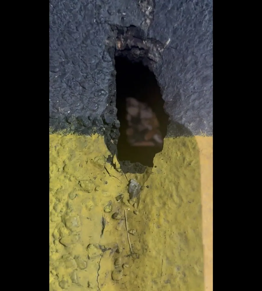 Reliable landscape design in Hanover Park, IL - Zuniga Asphalt & Paving