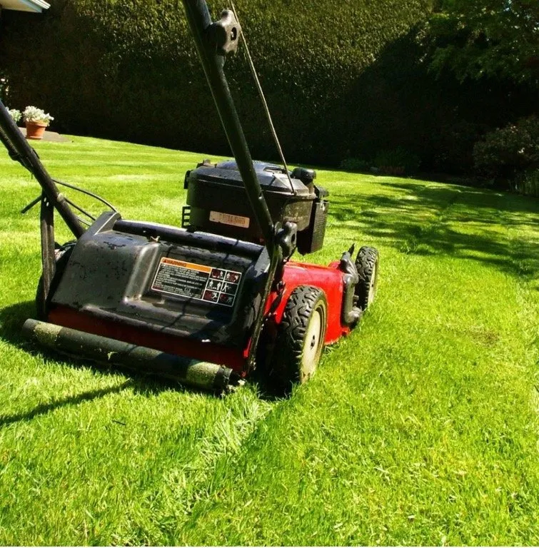 Expert garden landscaping experts serving Austin, TX - Zuniga Care