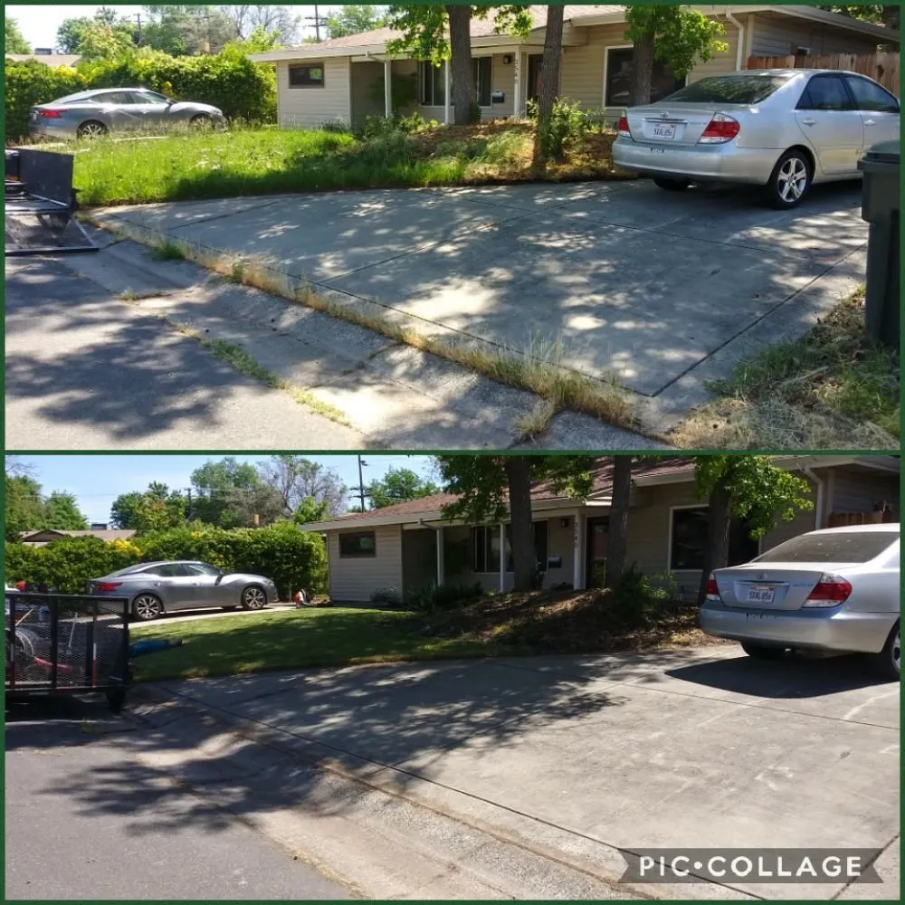 Reliable garden landscaping in Sacramento, CA - Zuniga Gardening Service