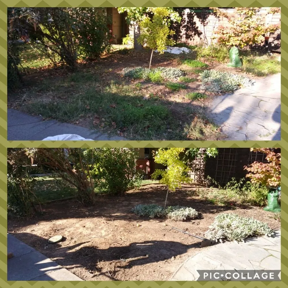 Top-rated landscape installation for residential properties across Sacramento, CA - Zuniga Gardening Service