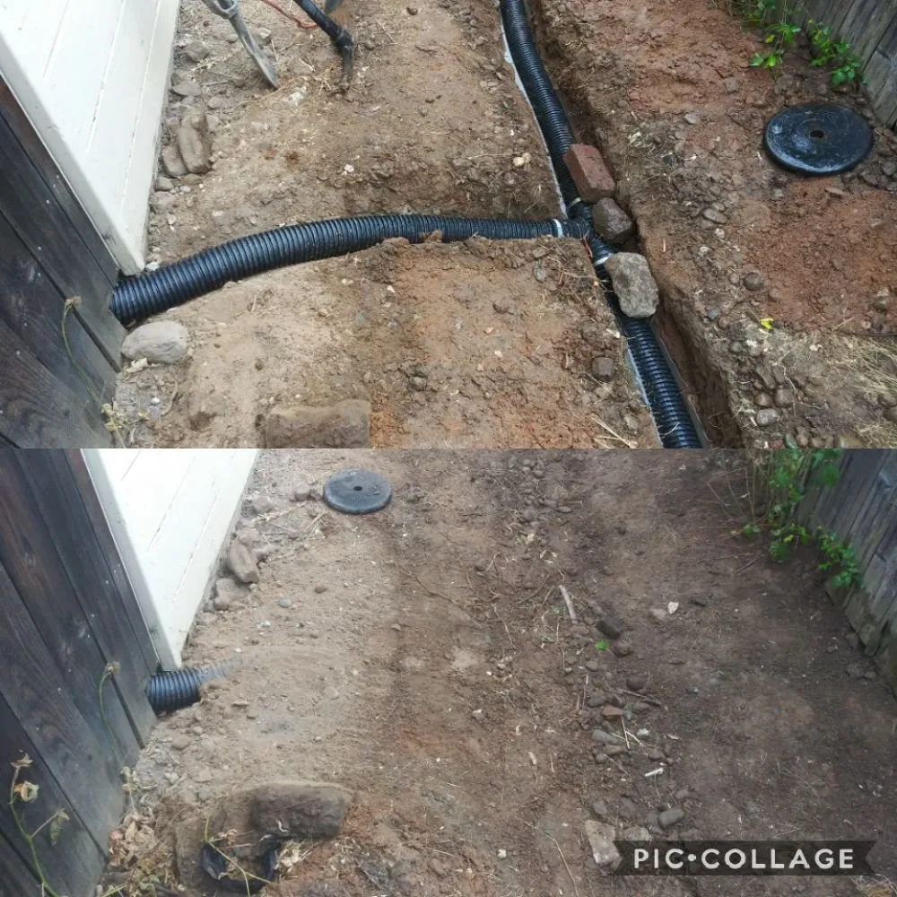 Custom yard maintenance in Sacramento, CA - Zuniga Gardening Service