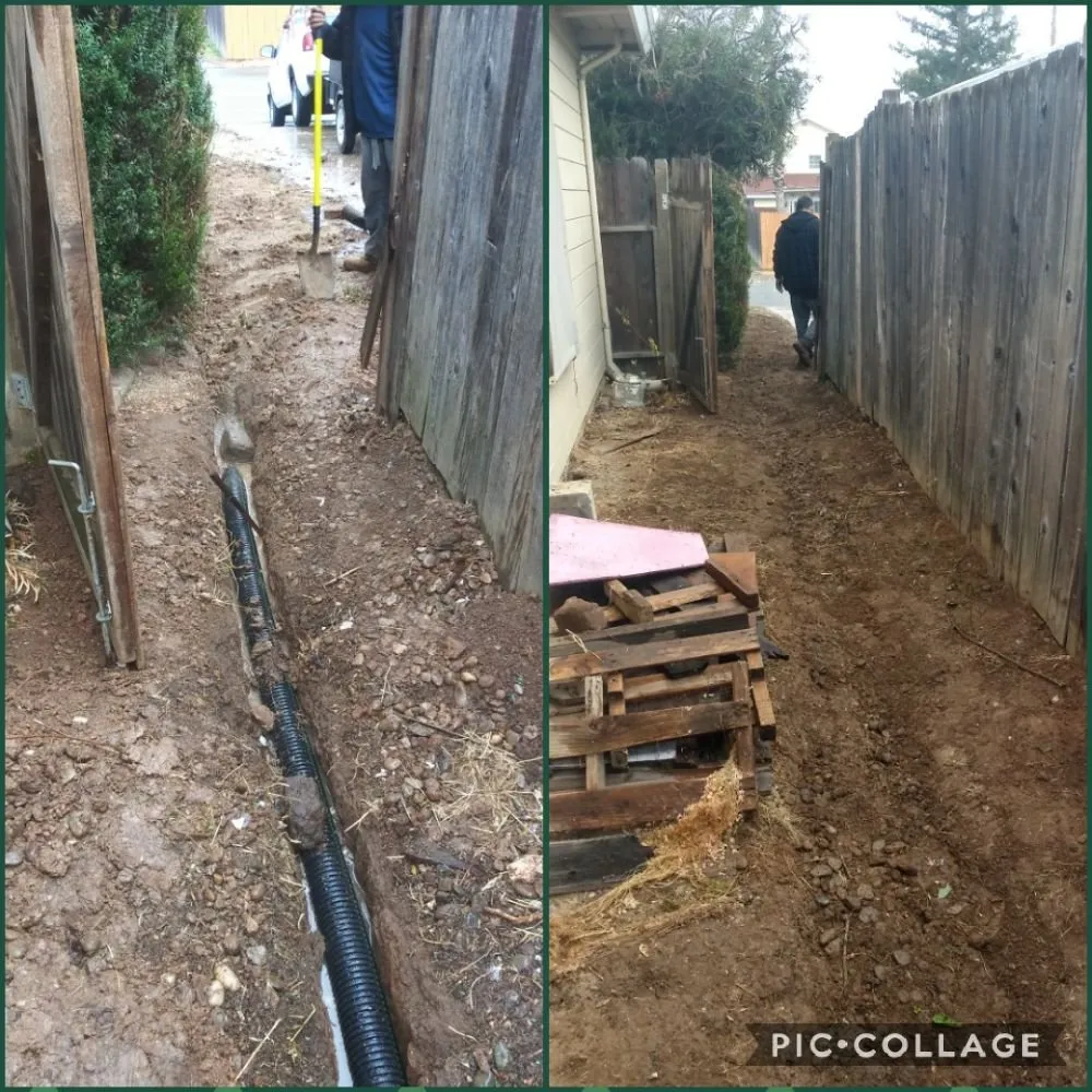 Affordable lawn care service experts serving Sacramento, CA - Zuniga Gardening Service