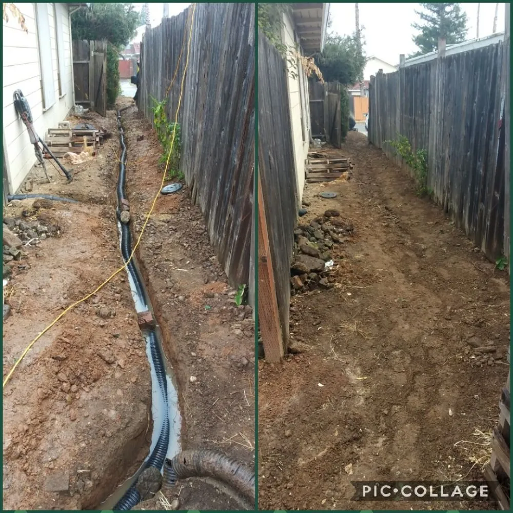 Professional garden landscaping experts serving Sacramento, CA - Zuniga Gardening Service