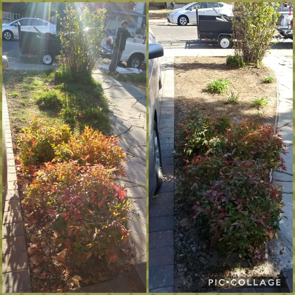 Trusted landscape installation in Sacramento, CA - Zuniga Gardening Service