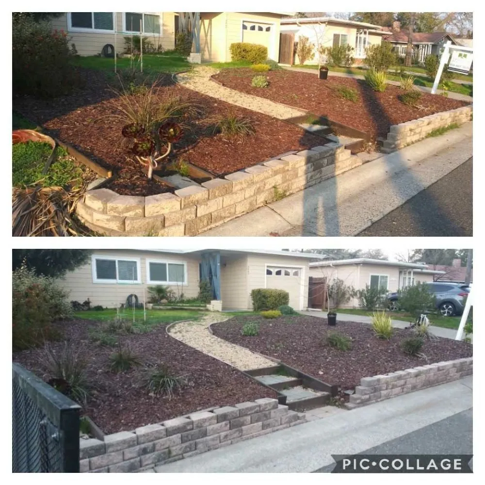 Professional landscape installation in Sacramento, CA by Zuniga Gardening Service