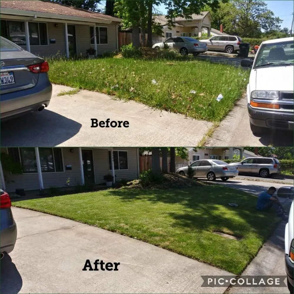 Custom residential landscaping in Sacramento, CA by Zuniga Gardening Service