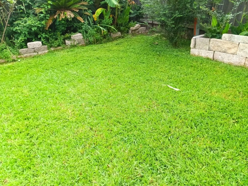 Affordable outdoor landscaping for beautiful yards in Cleveland, TX by Zuniga Landscape & Remodeling