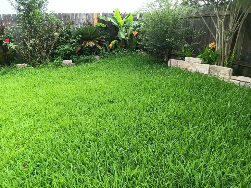Top-rated lawn mowing service in Cleveland, TX - Zuniga Landscape & Remodeling