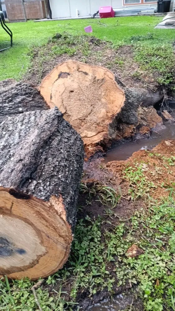 Reliable outdoor landscaping experts serving Cleveland, TX - Zuniga Landscape & Remodeling