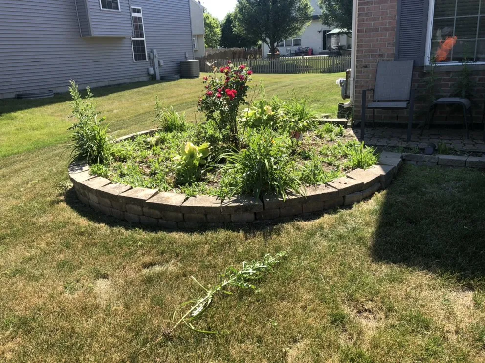 Expert lawn care service in Bolingbrook, IL by Zuniga Landscaping