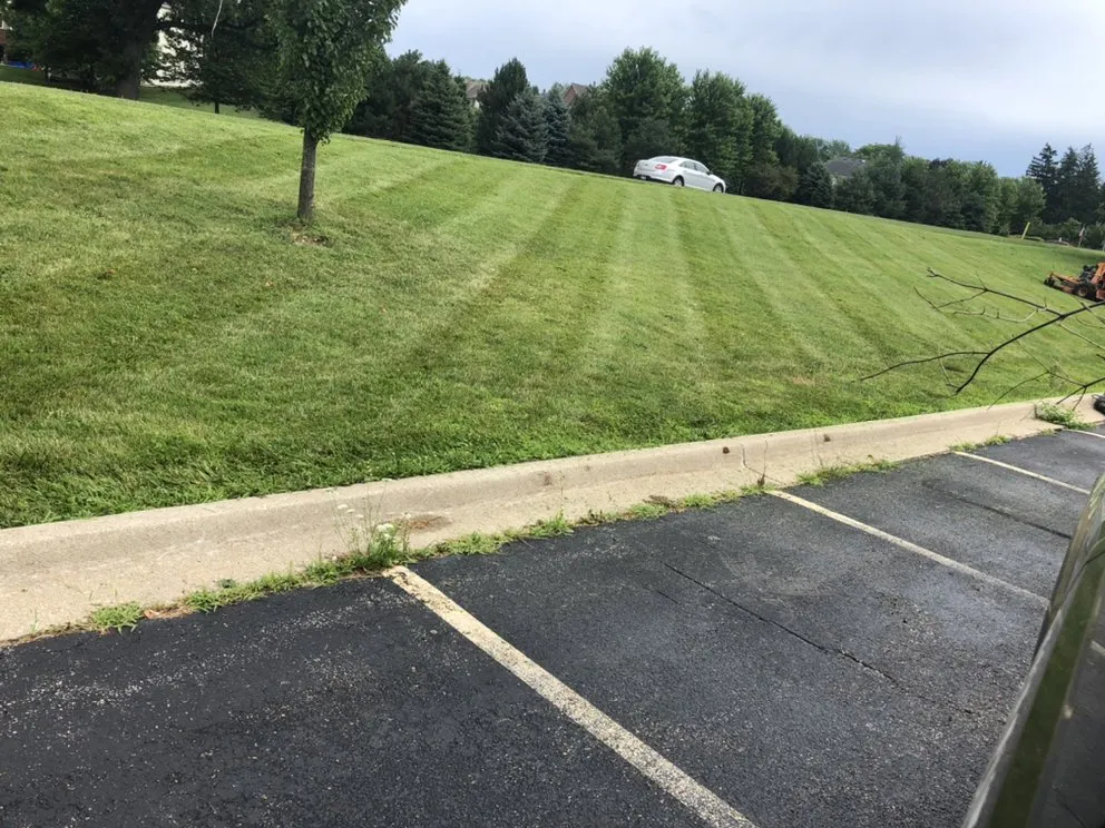 Expert garden landscaping for year-round maintenance in Bolingbrook, IL by Zuniga Landscaping