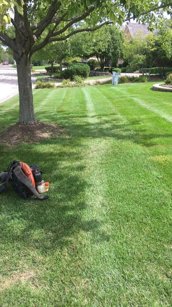 Top-rated outdoor landscaping in Bolingbrook, IL by Zuniga Landscaping