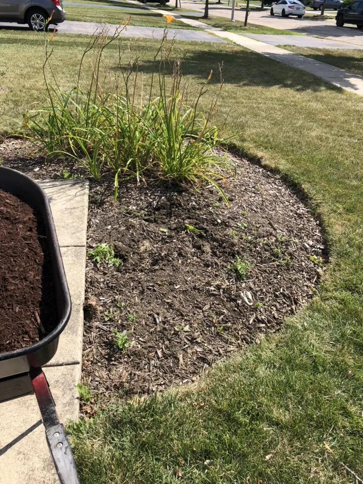 Top-rated landscape design for outdoor upgrades across Bolingbrook, IL - Zuniga Landscaping