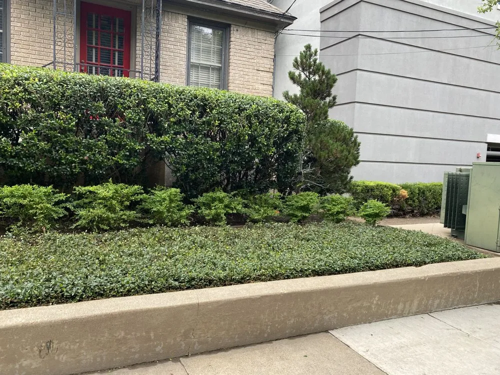 Reliable landscape installation in Dallas, TX - Zuniga Landscaping