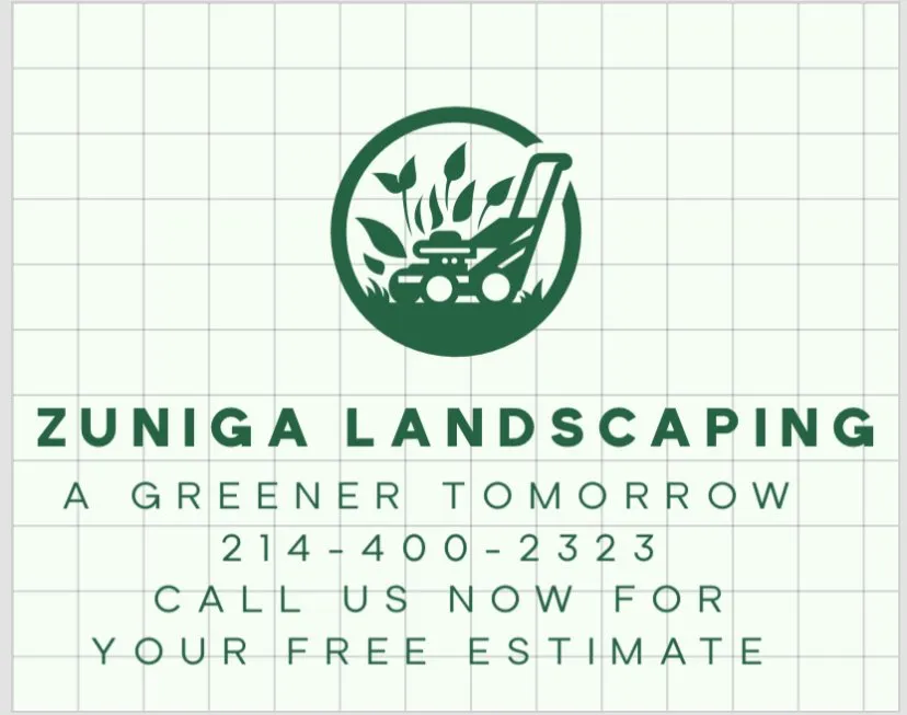 Top-rated yard cleanup service experts serving Dallas, TX - Zuniga Landscaping
