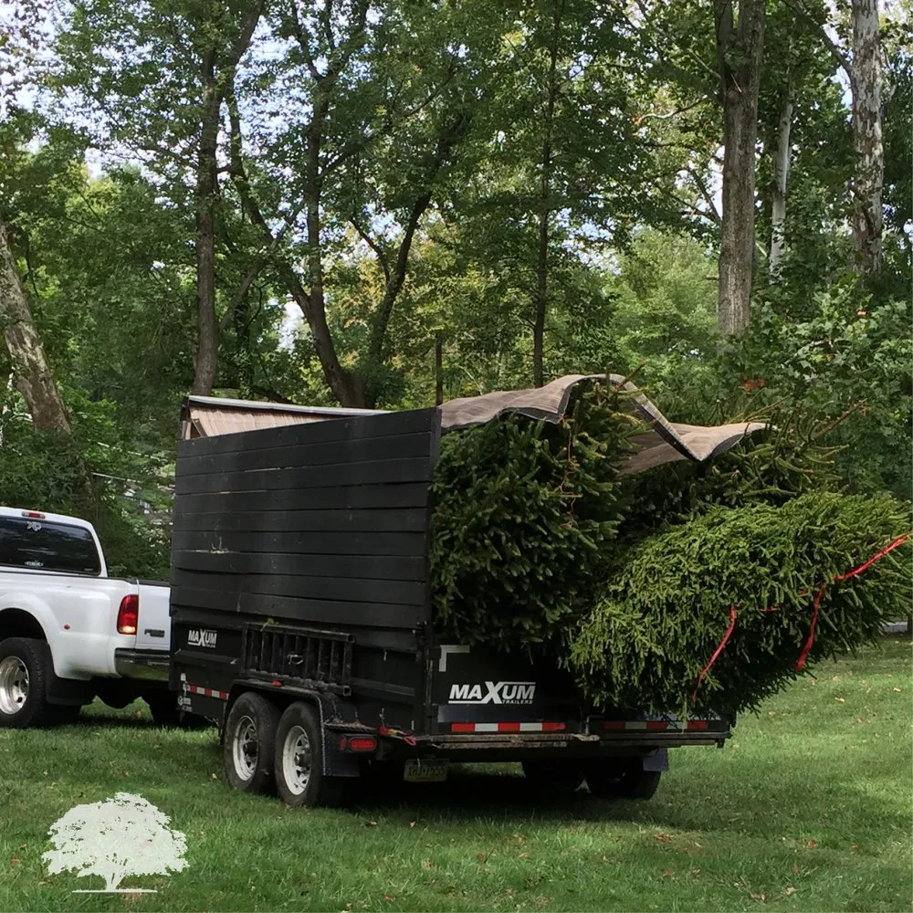 Local yard maintenance with custom design across Norristown, PA - Zuniga Landscaping