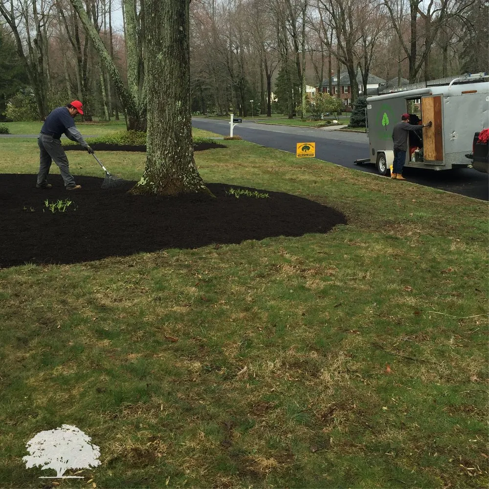 Custom yard cleanup service experts serving Norristown, PA - Zuniga Landscaping