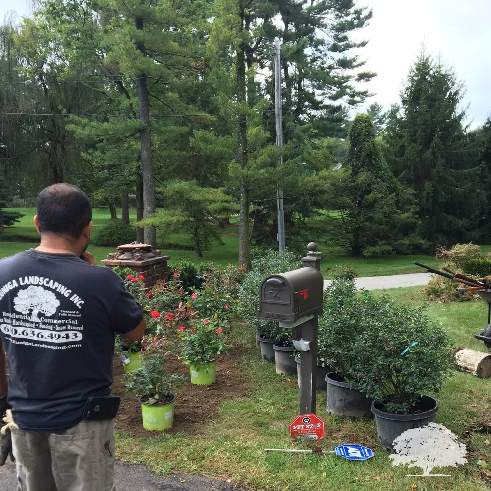 Affordable yard cleanup service in Norristown, PA - Zuniga Landscaping